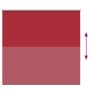 Estor Enrollable Opaco Rojo 160x150 cm Tela Ancho 156,6 cm de , Persianas y estores - Ref: Foro24-4011790, Precio: 31,42 €, D...