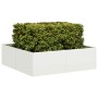 Jardinera acero blanco 100x100x30 cm von , Töpfe und Pflanzgefäße - Ref: Foro24-860809, Preis: 73,01 €, Rabatt: %