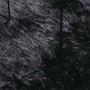 Alfombra peluda de pelo largo NAVARRA negra 130x200cm poliéster de , Alfombras - Ref: Foro24-4102830, Precio: 45,02 €, Descue...