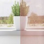 Cortinas de gasa con ojales 2 uds rosa 140x245 cm von , Vorhänge und Gardinen - Ref: Foro24-4102098, Preis: 15,26 €, Rabatt: %