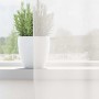 Cortinas de gasa con trabillas 2 uds. color blanco 140x245 cm von , Vorhänge und Gardinen - Ref: Foro24-4102334, Preis: 18,27...