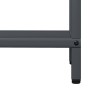 Leñero antracita 40x25x120 cm Acero laminado en frío by , Firewood bags and holders - Ref: Foro24-864301, Price: 51,22 €, Dis...