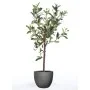 Emerald Künstlicher Mini-Olivenbaum 65 cm von Emerald, Künstliche Flora - Ref: Foro24-435920, Preis: 45,30 €, Rabatt: %
