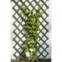 Nature Enrejado de jardín de madera verde 50x150 cm by , Pergolas, arches and garden trellises - Ref: Foro24-419737, Price: 1...