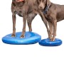 FitPAWS Disco de equilibrio para mascotas azul 56 cm von , Trainingsgeräte für Haustiere - Ref: Foro24-433819, Preis: 92,83 €...
