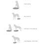 FitPAWS Disco de equilibrio para mascotas azul 56 cm von , Trainingsgeräte für Haustiere - Ref: Foro24-433819, Preis: 92,83 €...