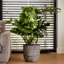Capi Macetero Nature Rib gris antracita 43x41 cm KOFZ933 von , Töpfe und Pflanzgefäße - Ref: Foro24-424243, Preis: 96,11 €, R...