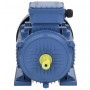 Motor eléctrico trifásico aluminio 3kW/4HP 2 polos 2840 RPM by , Electric motors - Ref: Foro24-148005, Price: 225,79 €, Disco...