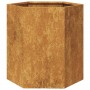Jardinera hexagonal 46x40x45 cm acero desgastado von , Töpfe und Pflanzgefäße - Ref: Foro24-851120, Preis: 47,80 €, Rabatt: %