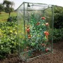 Nature Invernadero para tomates 100x50x150 cm von , Gewächshäuser - Ref: Foro24-428492, Preis: 40,03 €, Rabatt: %