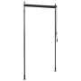 Estor enrollable de exterior gris antracita 100x270 cm de , Toldos - Ref: Foro24-145935, Precio: 50,03 €, Descuento: %