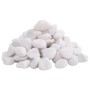 Guijarros pulidos blancos 10 kg 2-5 cm von , Aquariumdekoration - Ref: Foro24-155329, Preis: 45,68 €, Rabatt: %