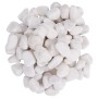 Guijarros pulidos blancos 10 kg 2-5 cm von , Aquariumdekoration - Ref: Foro24-155329, Preis: 45,68 €, Rabatt: %