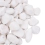 Guijarros pulidos blancos 10 kg 2-5 cm von , Aquariumdekoration - Ref: Foro24-155329, Preis: 45,68 €, Rabatt: %