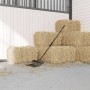 Horquilla de rastrillo con 18 púas de acero negro by , livestock feeding - Ref: Foro24-3209561, Price: 44,71 €, Discount: %
