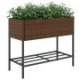 Jardinera con estante ratán sintético marrón de , Maceteros y jardineras - Ref: Foro24-366385, Precio: 81,45 €, Descuento: %