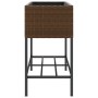 Jardinera con estante ratán sintético marrón de , Maceteros y jardineras - Ref: Foro24-366385, Precio: 81,45 €, Descuento: %