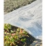 Nature Cobertor para plantas transparente 3x4 m 100µ von , Gartenzubehör - Ref: Foro24-446378, Preis: 18,15 €, Rabatt: %