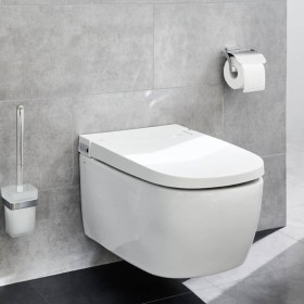 Kleine Wolke Portarrollo de papel higiénico con tapa Meo plateado de , Portarrollos - Ref: Foro24-442308, Precio: 43,90 €, De...