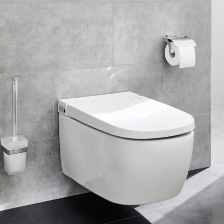 Kleine Wolke Portarrollo de papel higiénico con tapa Meo plateado von , Klopapierhalterung - Ref: Foro24-442308, Preis: 43,90...