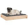 Cama para perros madera maciza de pino 61,5x49x9 cm de , Camas para perros - Ref: Foro24-820851, Precio: 30,71 €, Descuento: %