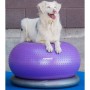 FitPAWS Pelota de equilibrio para mascotas TRAX Donut morado 55 cm von , Trainingsgeräte für Haustiere - Ref: Foro24-428432, ...