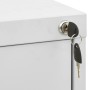 Armario archivador de acero gris claro 46x62x164 cm von , Aktenschränke - Ref: Foro24-336283, Preis: 399,17 €, Rabatt: %