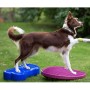 FitPAWS Disco de equilibrio para mascotas color frutos rojos 56 cm von , Trainingsgeräte für Haustiere - Ref: Foro24-433834, ...