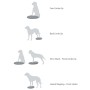 FitPAWS Disco de equilibrio para mascotas color frutos rojos 56 cm von , Trainingsgeräte für Haustiere - Ref: Foro24-433834, ...