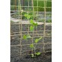 Nature Malla para plantas enredaderas yute natural 1,8x5 m von , Gartenzubehör - Ref: Foro24-447515, Preis: 27,81 €, Rabatt: %
