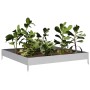 Jardinera de acero galvanizado 100x100x18,5 cm von , Töpfe und Pflanzgefäße - Ref: Foro24-851015, Preis: 35,85 €, Rabatt: %