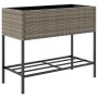 Jardineras con estante 2 uds ratán sintético gris 90x40x75 cm by , Pots and planters - Ref: Foro24-3210509, Price: 158,74 €, ...