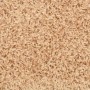 Alfombrilla escalera 30 uds doradas 65x21x4 cm de , Alfombrillas para escalones - Ref: Foro24-3365821, Precio: 161,51 €, Desc...