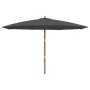 Sombrilla jardín con poste de madera gris antracita 400x273 cm by , Umbrellas - Ref: Foro24-363177, Price: 151,44 €, Discount: %