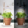Smartwares Lámpara de cultivo para jardín LED 9W blanco von , Lampen - Ref: Foro24-444944, Preis: 32,36 €, Rabatt: %