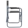Sillas de director 2 unidades acero gris von , Gartenstühle - Ref: Foro24-47920, Preis: 98,46 €, Rabatt: %