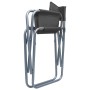 Sillas de director 2 unidades acero gris von , Gartenstühle - Ref: Foro24-47920, Preis: 98,46 €, Rabatt: %