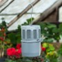 Nature Calentador de parafina colgante Coldframe 0,5 L 6020420 de , Calentadores de ambiente - Ref: Foro24-419720, Precio: 29...