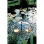 Ubbink Bomba de fuente estanque Elimax 500 1351300 von , Zubehör für Teiche und Brunnen - Ref: Foro24-403741, Preis: 55,87 €,...
