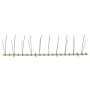 Set de 2 hileras de pinchos contra pájaros y palomas 20 uds 10m de , Repelentes para animales - Ref: Foro24-149126, Precio: 3...