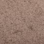 Felpudo marrón 60x80 cm von , Fußmatten - Ref: Foro24-331587, Preis: 37,22 €, Rabatt: %
