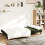 Sofá cama de 2 plazas terciopelo verde oscuro by , Sofas - Ref: Foro24-375734, Price: 231,59 €, Discount: %