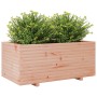 Jardinera madera maciza de abeto Douglas 110x60x49,5 cm von , Töpfe und Pflanzgefäße - Ref: Foro24-3282572, Preis: 197,06 €, ...