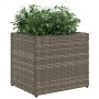 Jardinera de ratán sintético gris 36x30x32 cm by , Pots and planters - Ref: Foro24-366427, Price: 41,42 €, Discount: %