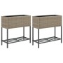 Jardineras con estante 2 uds ratán sintético gris 70x28x70 cm de , Maceteros y jardineras - Ref: Foro24-3210512, Precio: 119,...