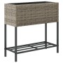 Jardineras con estante 2 uds ratán sintético gris 70x28x70 cm de , Maceteros y jardineras - Ref: Foro24-3210512, Precio: 119,...