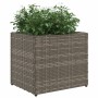 Jardineras 2 unidades ratán sintético gris 36x30x32 cm de , Maceteros y jardineras - Ref: Foro24-3210533, Precio: 65,24 €, De...