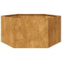 Jardinera hexagonal 104x90x45 cm acero desgastado von , Töpfe und Pflanzgefäße - Ref: Foro24-851135, Preis: 76,92 €, Rabatt: %