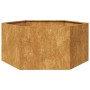 Jardinera hexagonal 104x90x45 cm acero desgastado von , Töpfe und Pflanzgefäße - Ref: Foro24-851135, Preis: 76,92 €, Rabatt: %