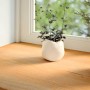 Alféizares de ventana 2 uds madera maciza roble marrón claro by , Marcos de ventanas - Ref: Foro24-4009157, Price: 88,34 €, D...